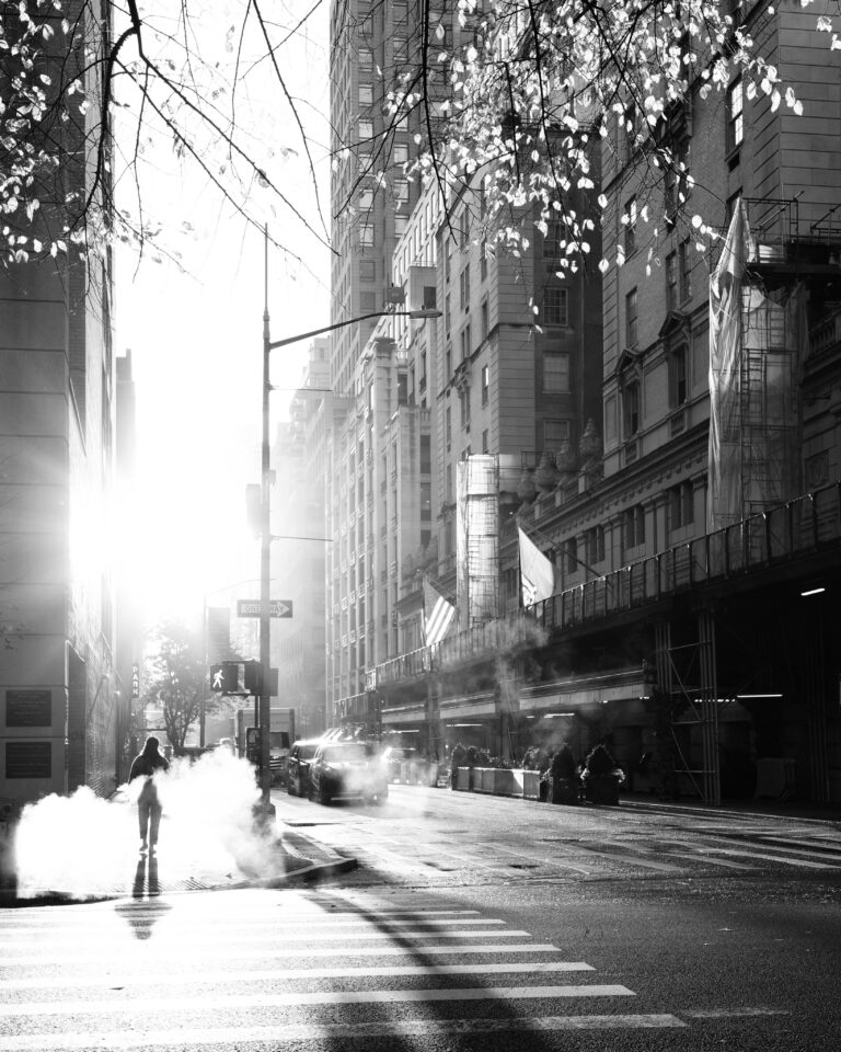 Photo by Amila Balic