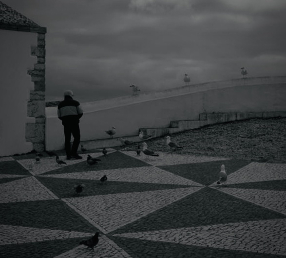 Photo by David Sheppard