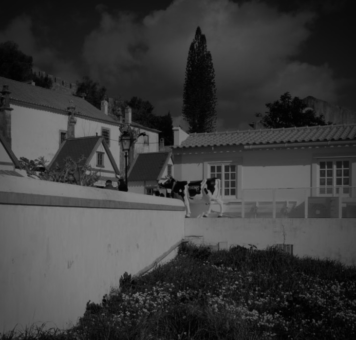 Photo by David Sheppard