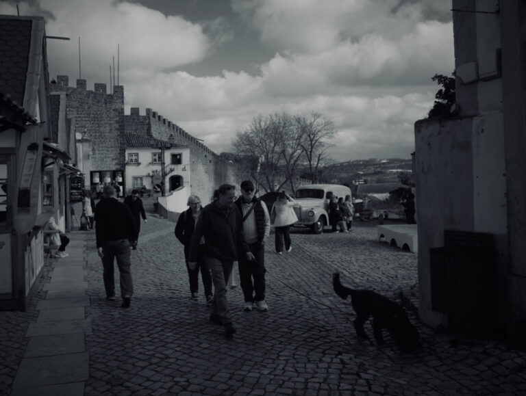 Photo by David Sheppard