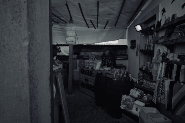 Photo by David Sheppard