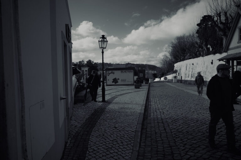 Photo by David Sheppard