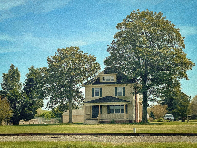 Photo by Will Hotton