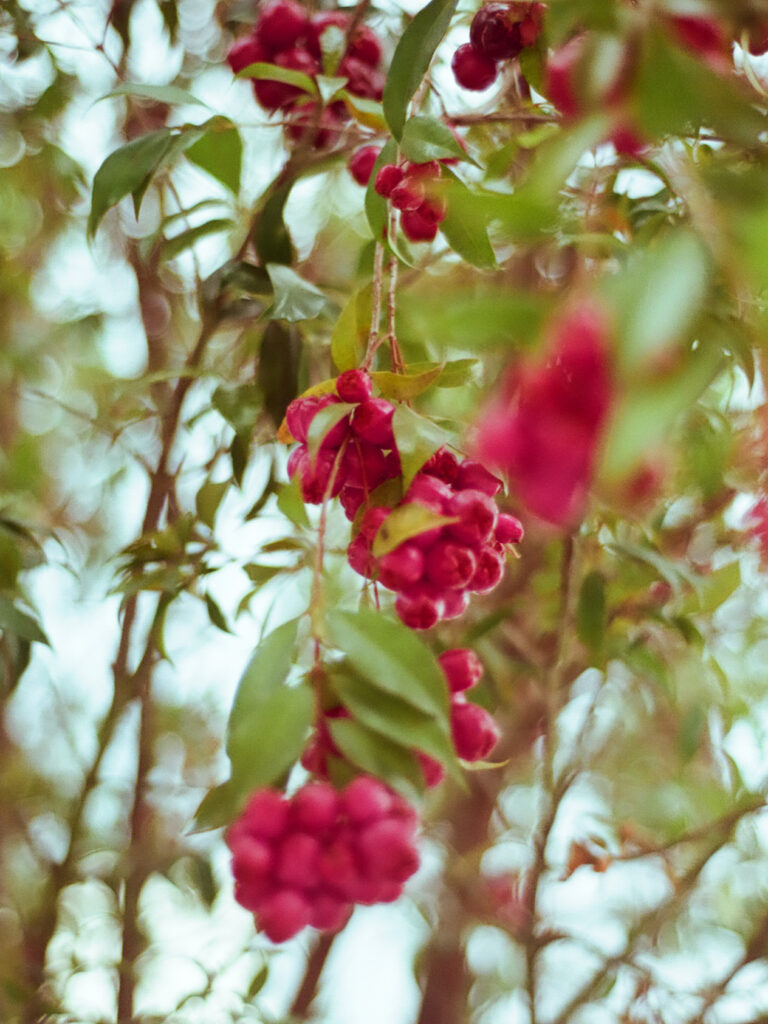 Photo by Adrian Romero