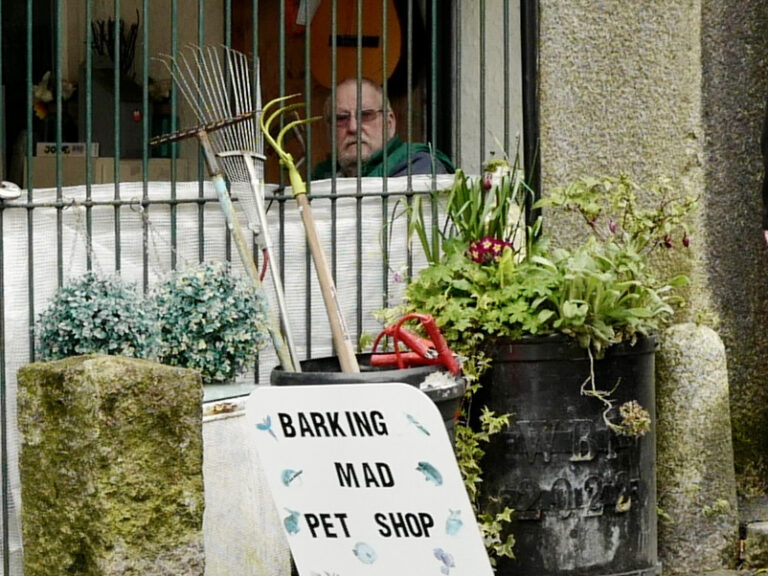 Photo by David George