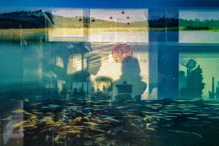 Photo by Alex 艾老师