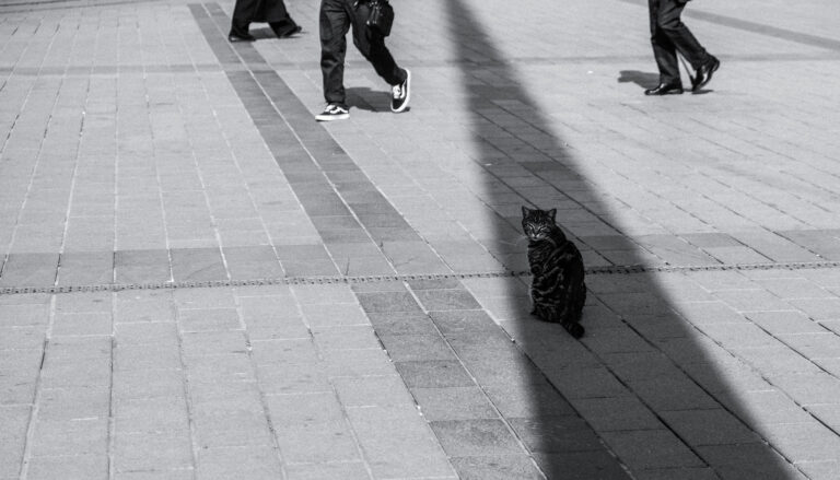 Photo by Yusuf Gungor