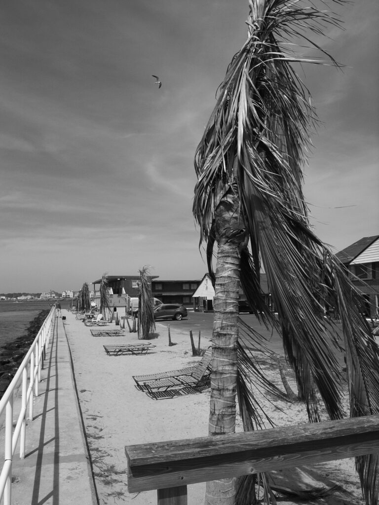 Photo by Will Hotton