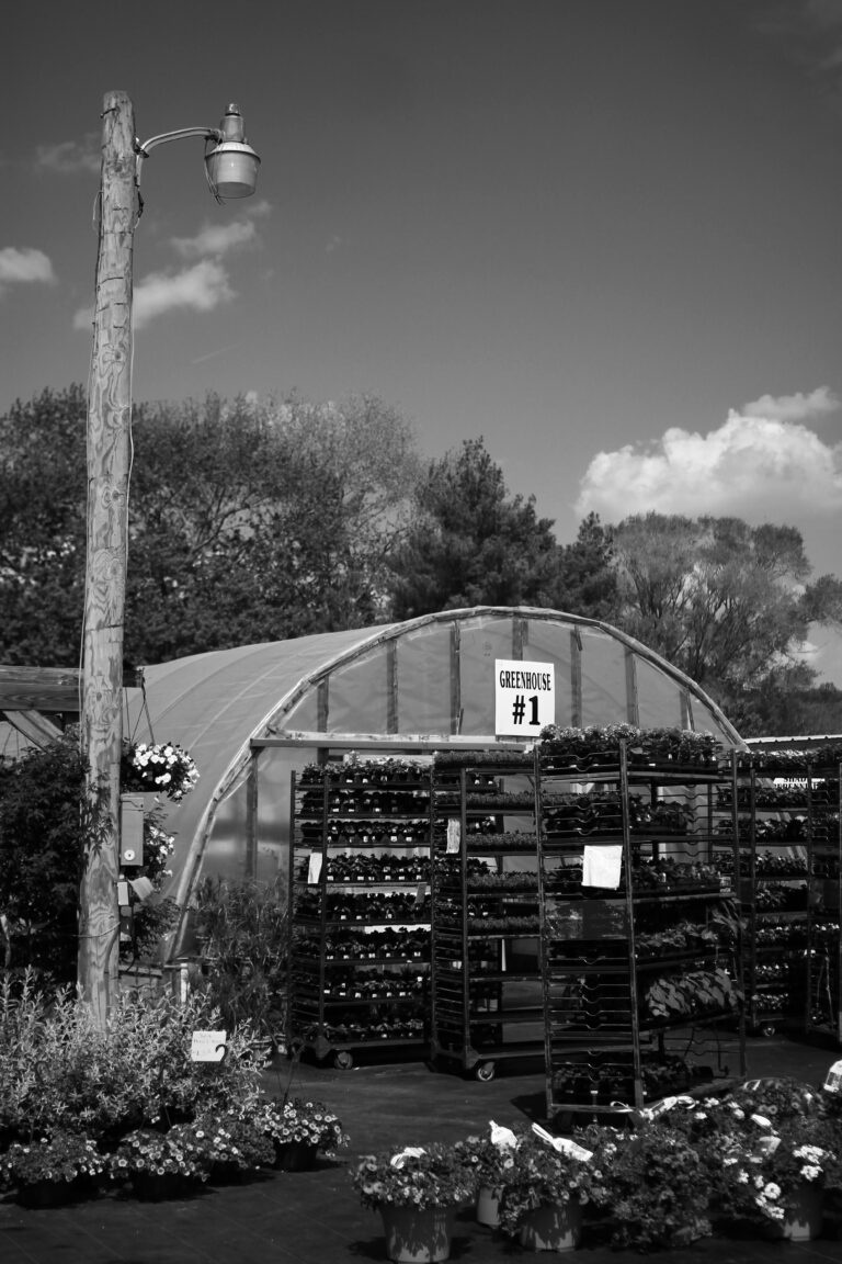 Photo by Will Hotton