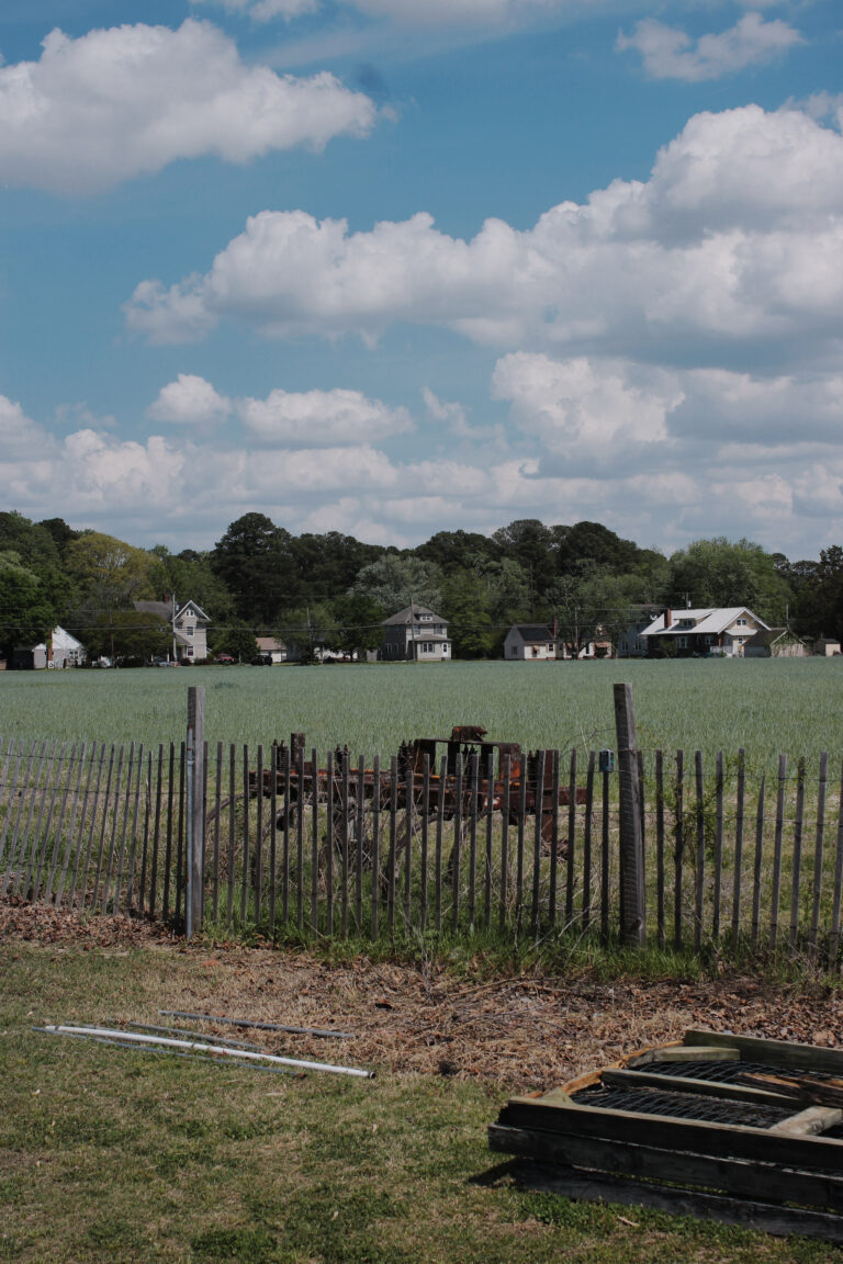 Photo by Will Hotton