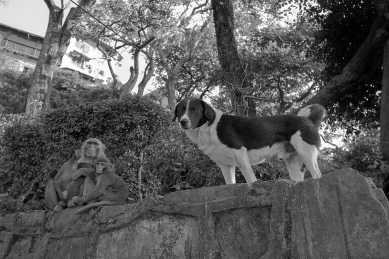 Photo by Black Pixel