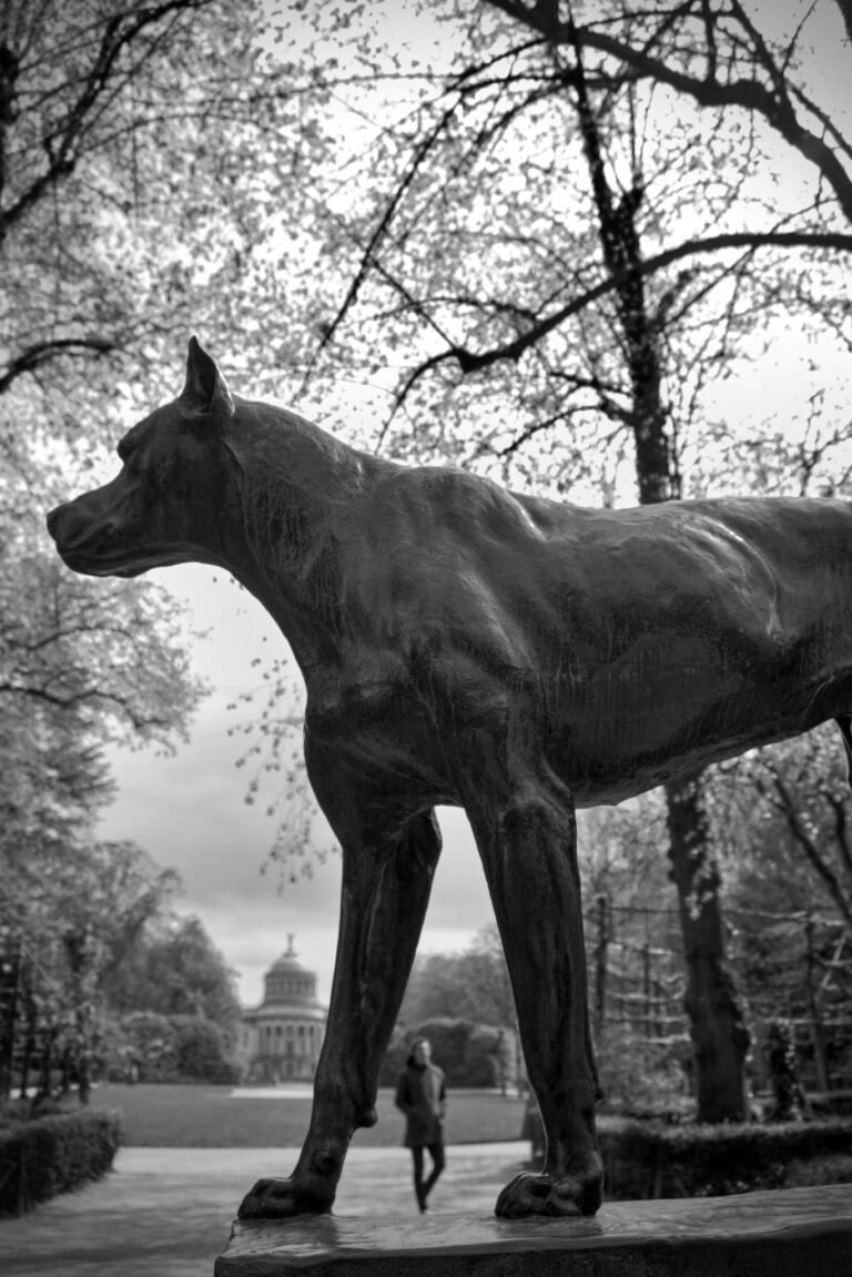 Photo by Eric Lebeau