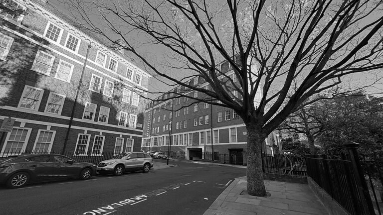 Photo by Franck Toto