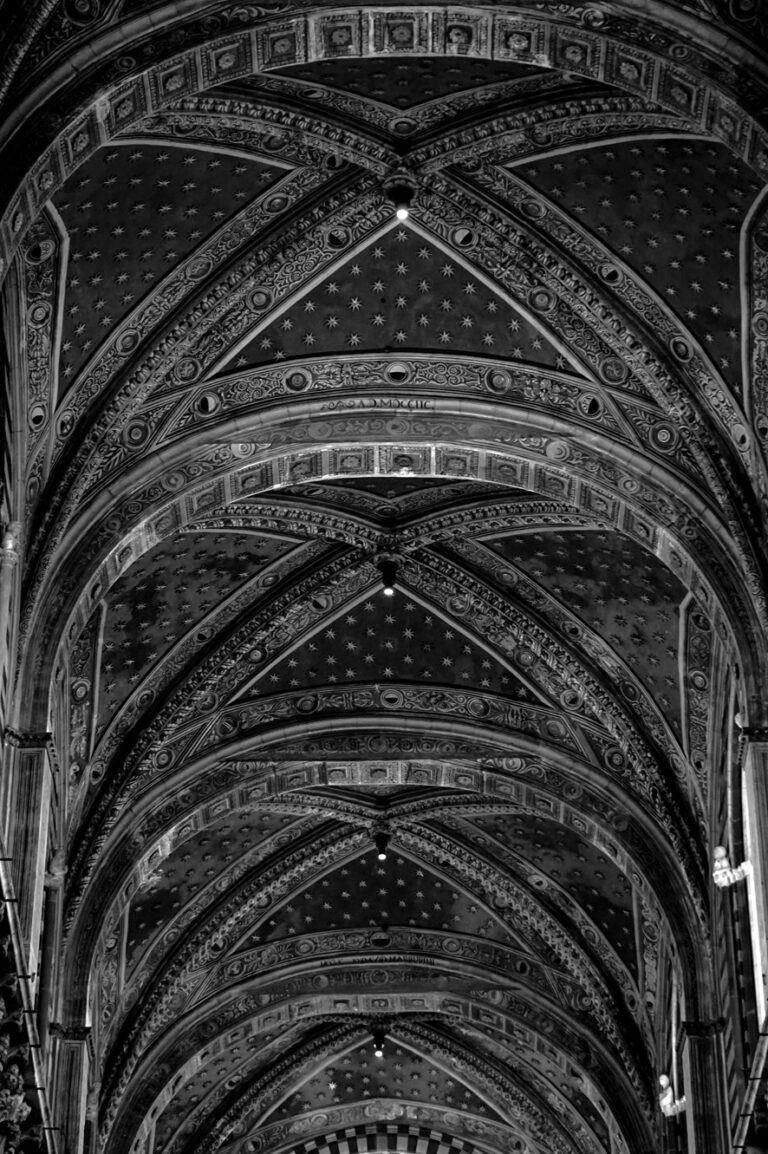 Photo by Diego Ponzuoli