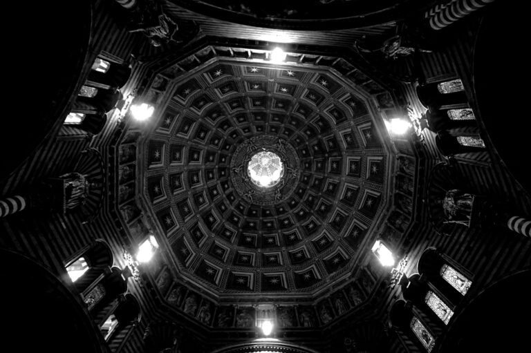 Photo by Diego Ponzuoli