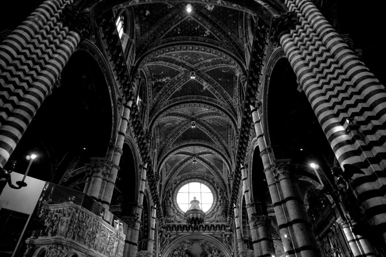 Photo by Diego Ponzuoli