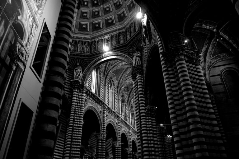 Photo by Diego Ponzuoli