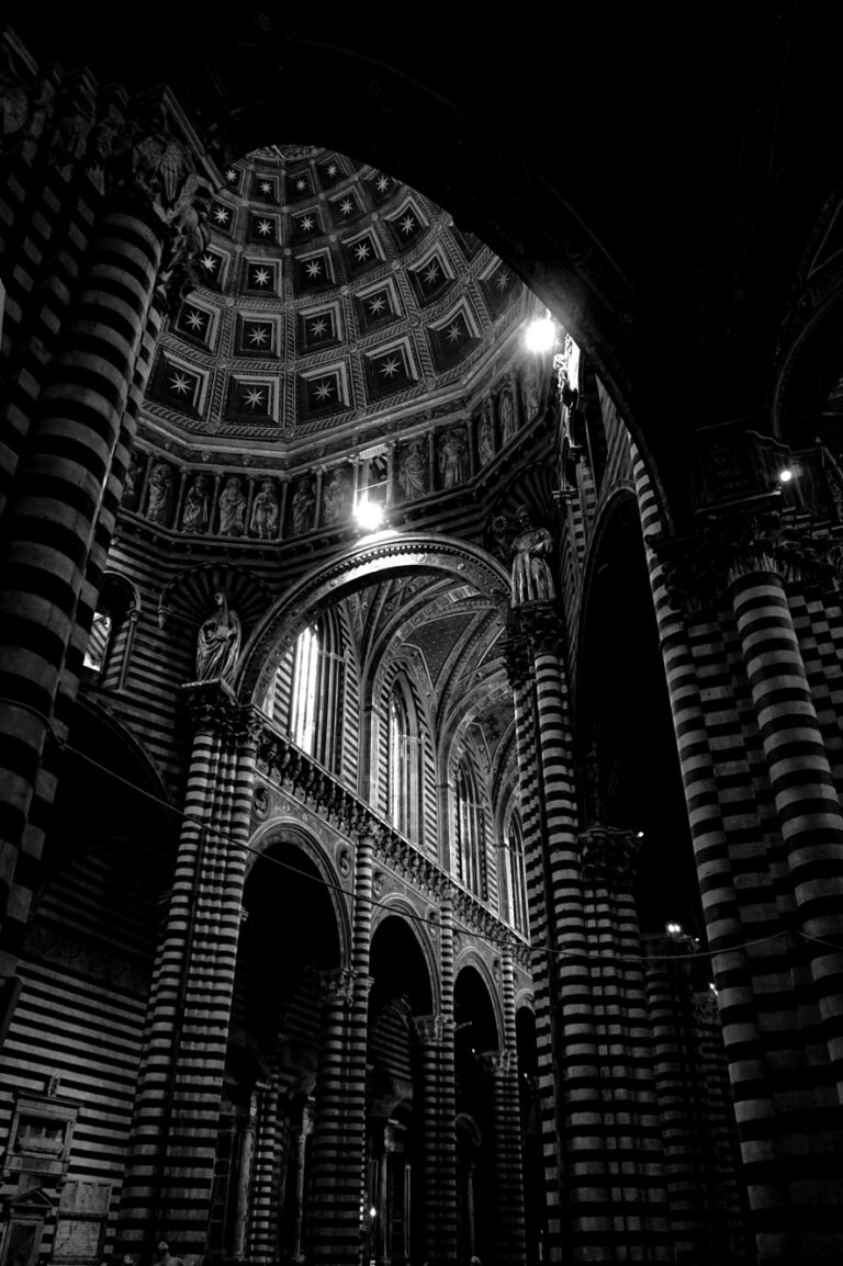 Photo by Diego Ponzuoli