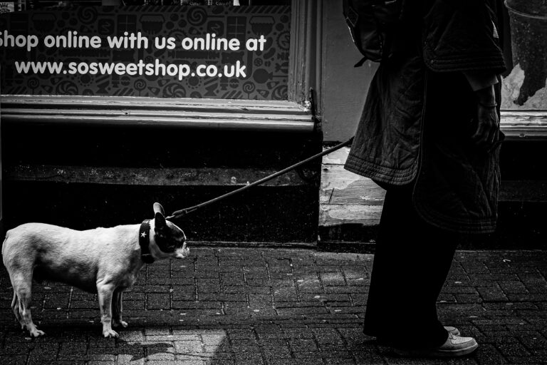 Photo by Leon Maillard