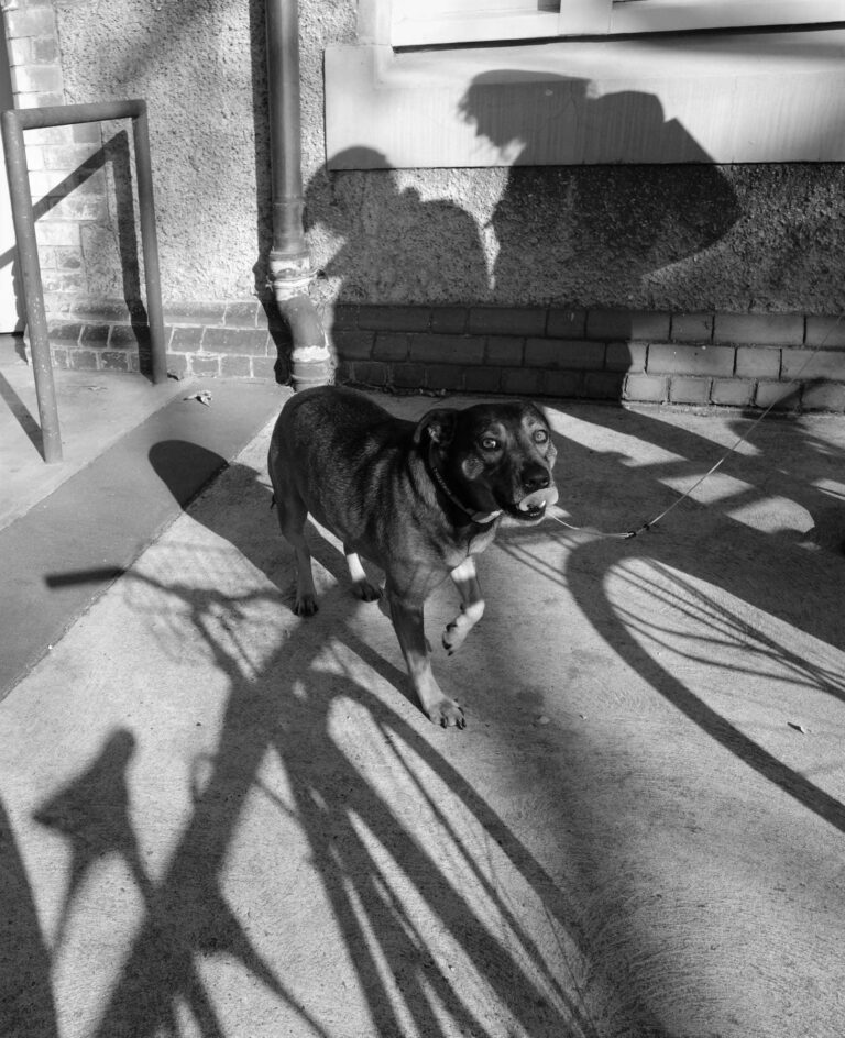 Photo by Greg Latham