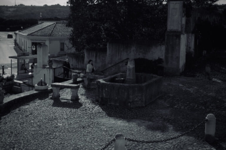 Photo by David Sheppard