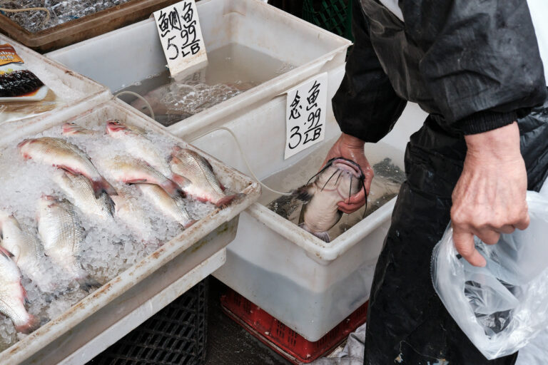 Photo by Kurt Slater