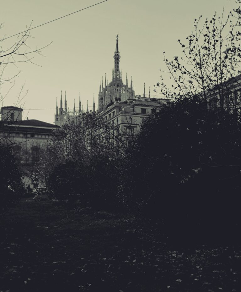 Photo by Allan Almeida