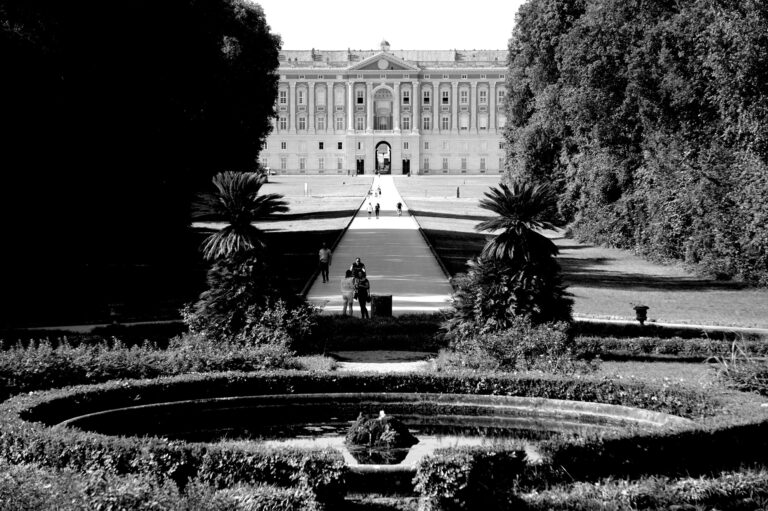 Photo by Diego Ponzuoli