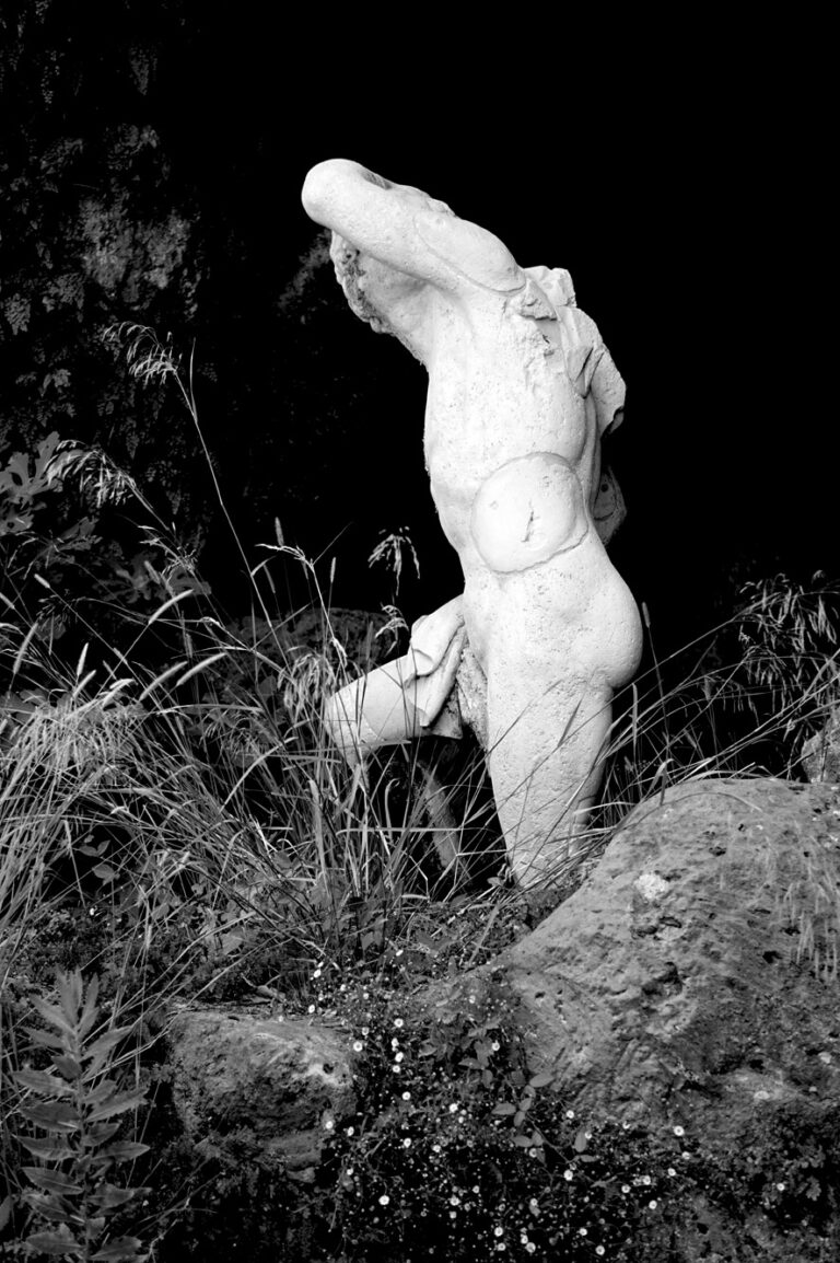 Photo by Diego Ponzuoli