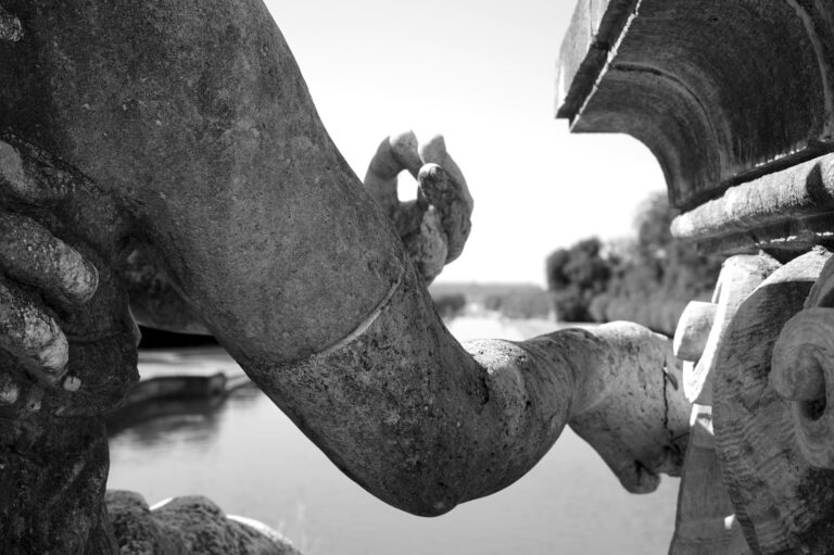 Photo by Diego Ponzuoli