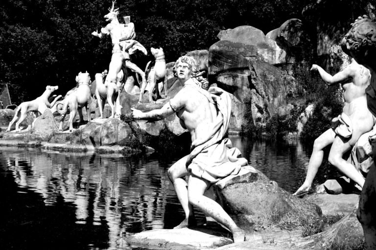 Photo by Diego Ponzuoli