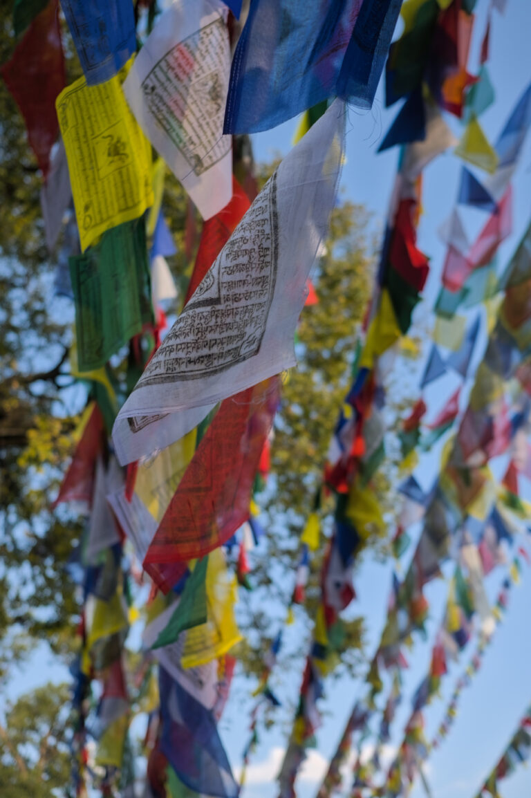 Photo by Black Pixel