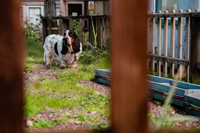 Photo by Leon Maillard