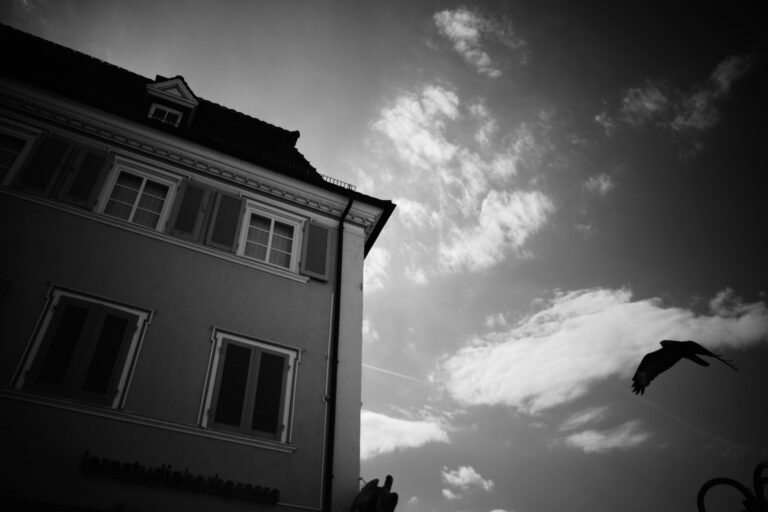 Photo by Jef 📷🍀