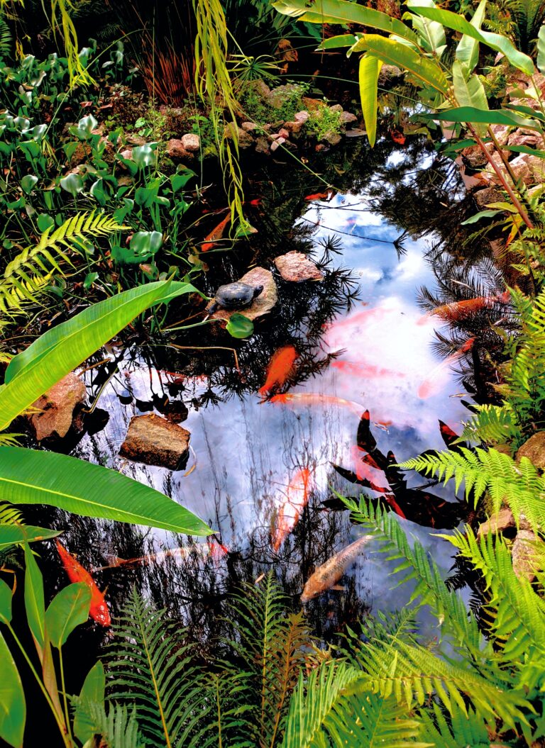 Photo by Laise Silva