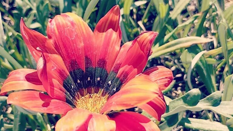 Photo by Tenochtitlan cuidad de México