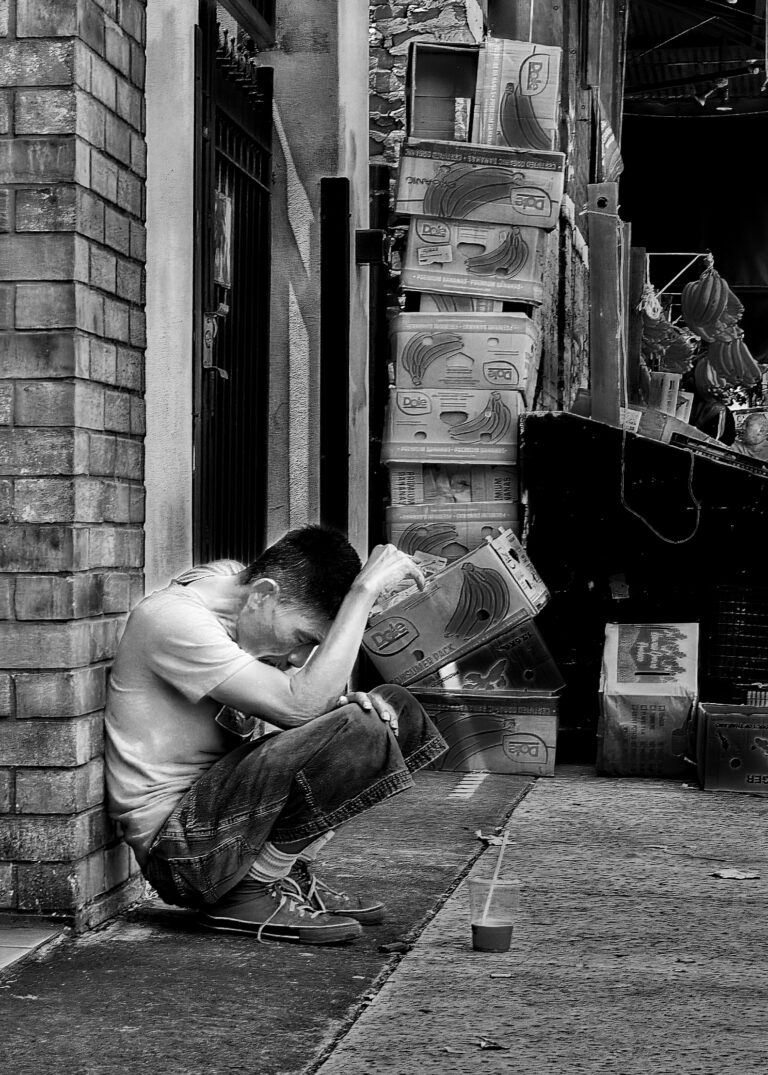 Photo by David Rockwood