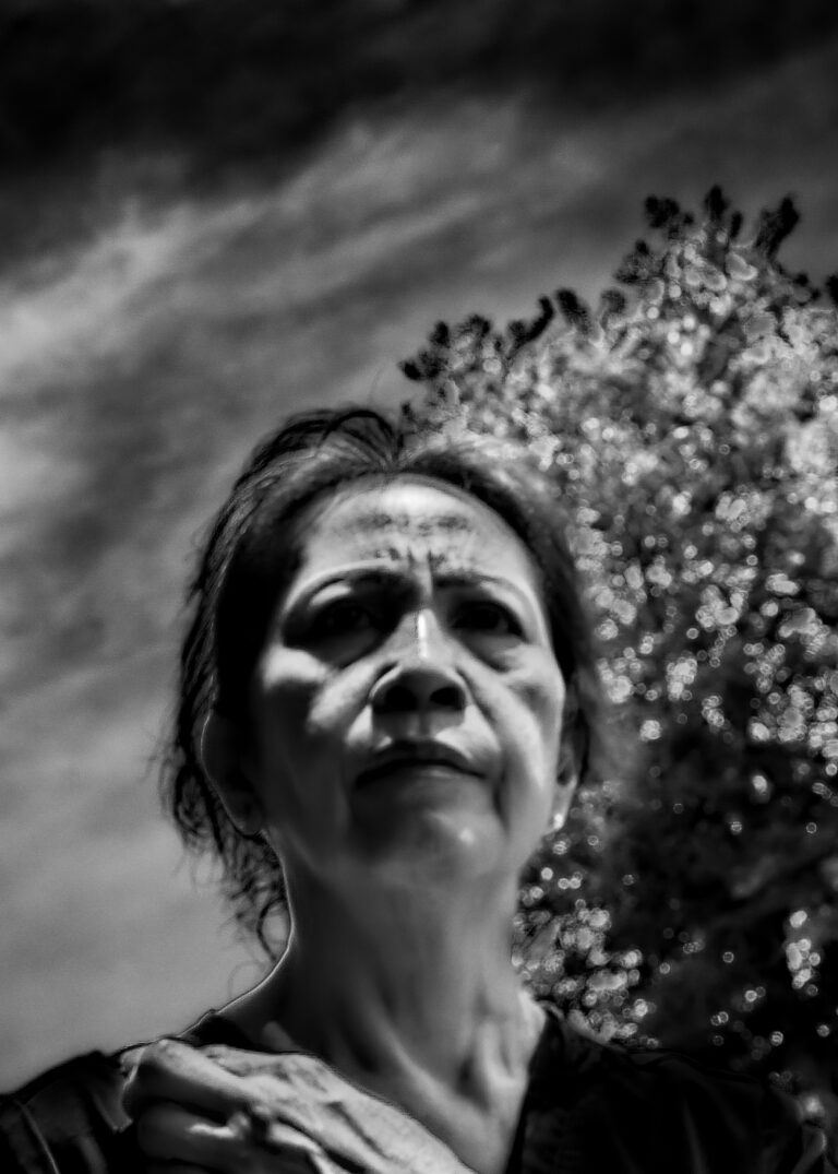 Photo by David Rockwood