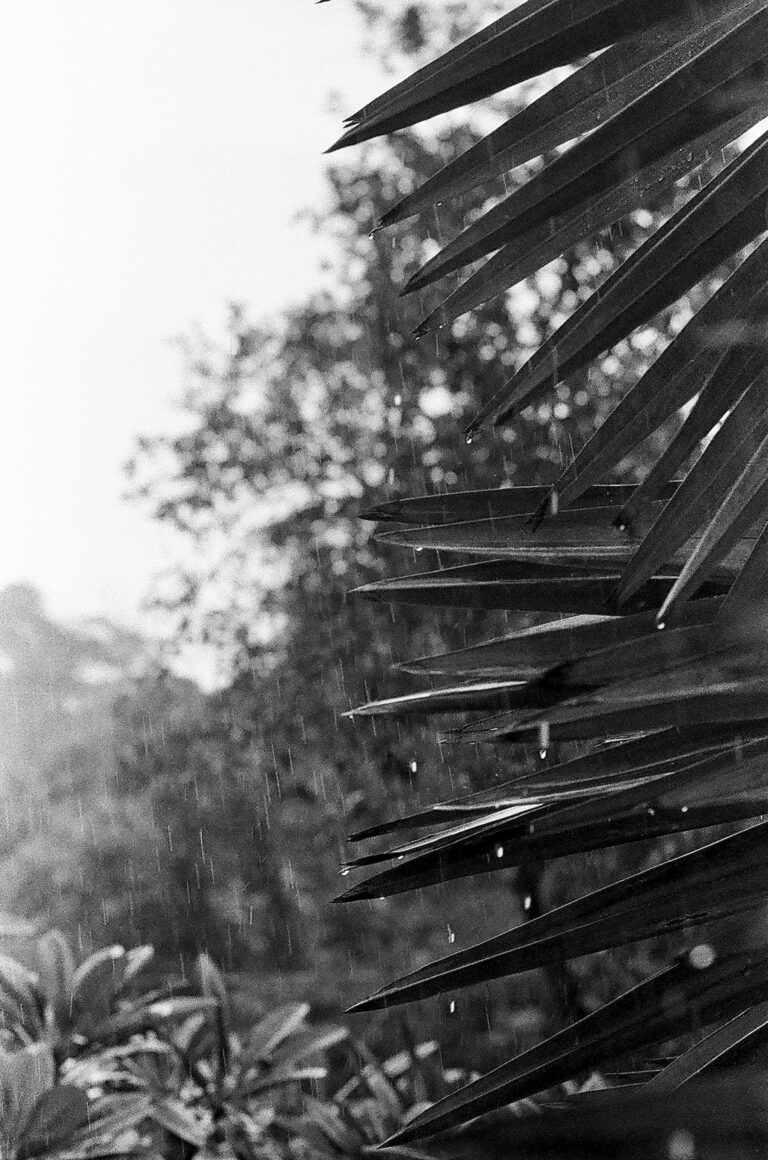 Photo by Daniel Petermann