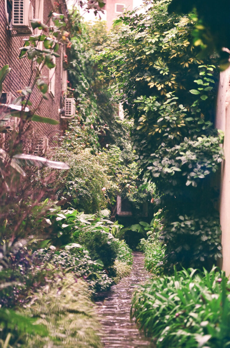 Photo by Daniel Petermann