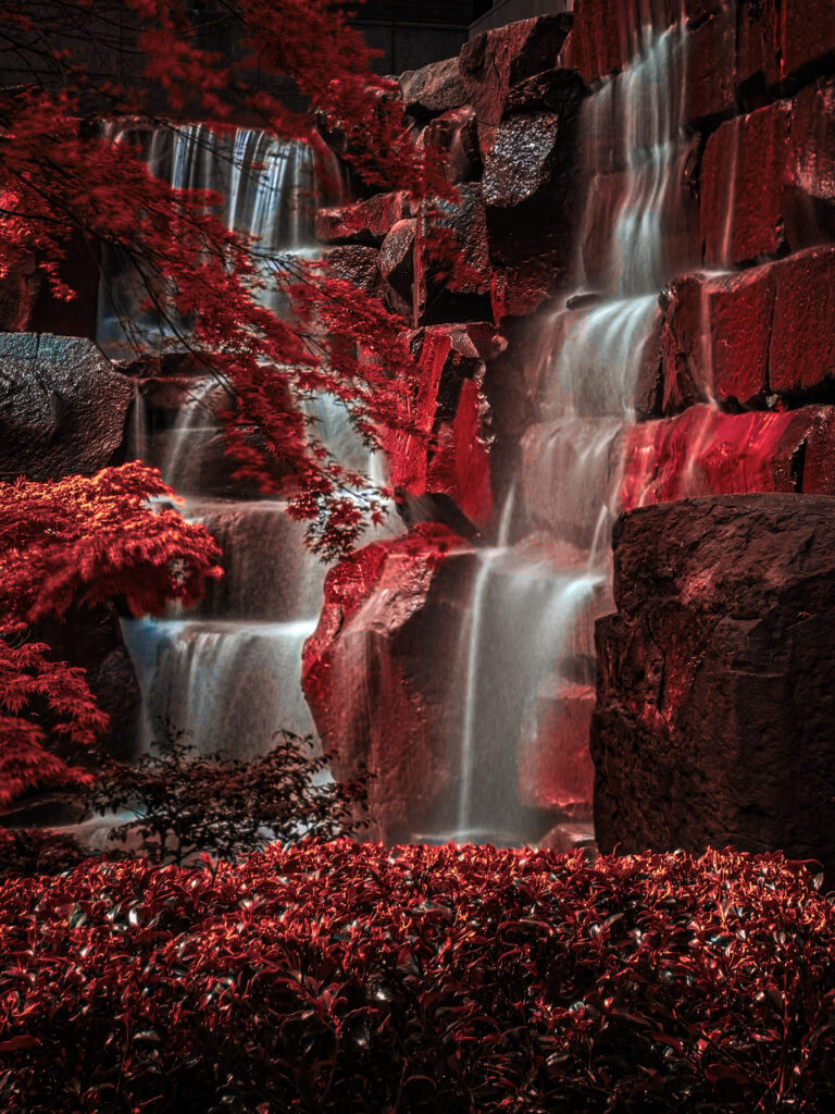 Photo by Vivian Totanes