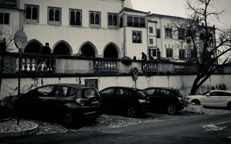 Photo by David Sheppard