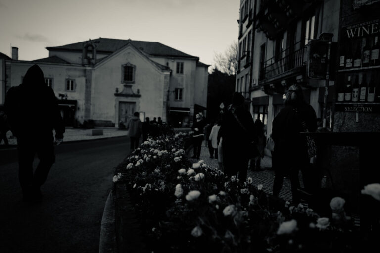 Photo by David Sheppard