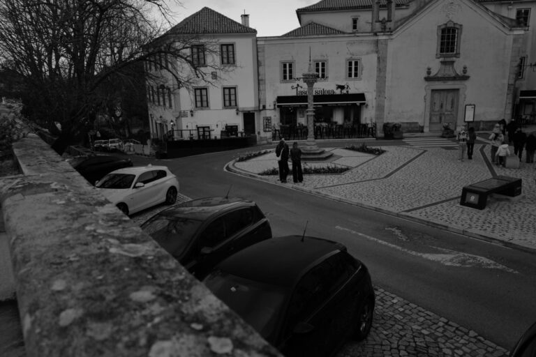 Photo by David Sheppard