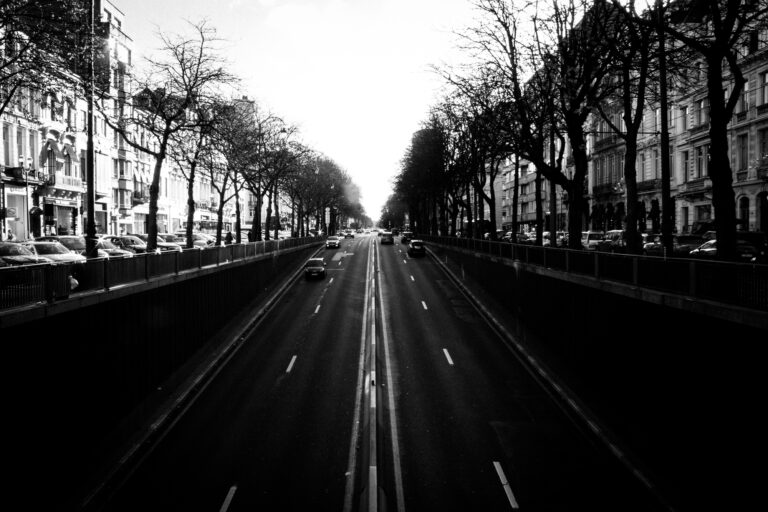 Photo by Diego Ponzuoli