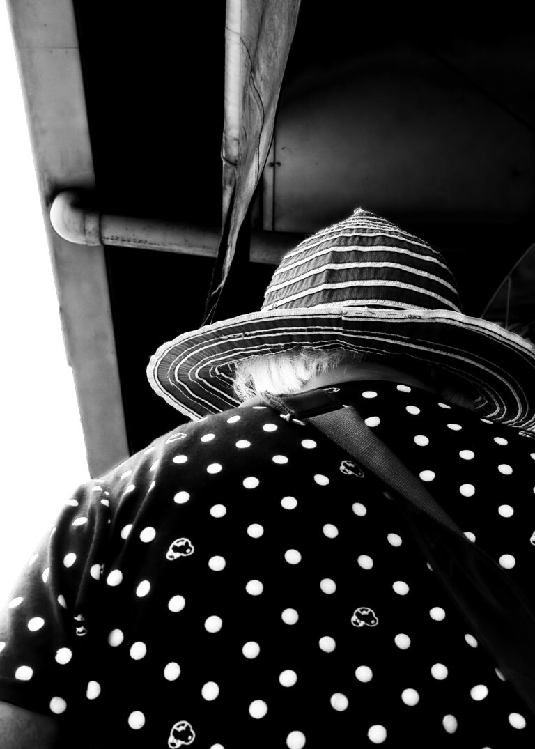 Photo by David Rockwood