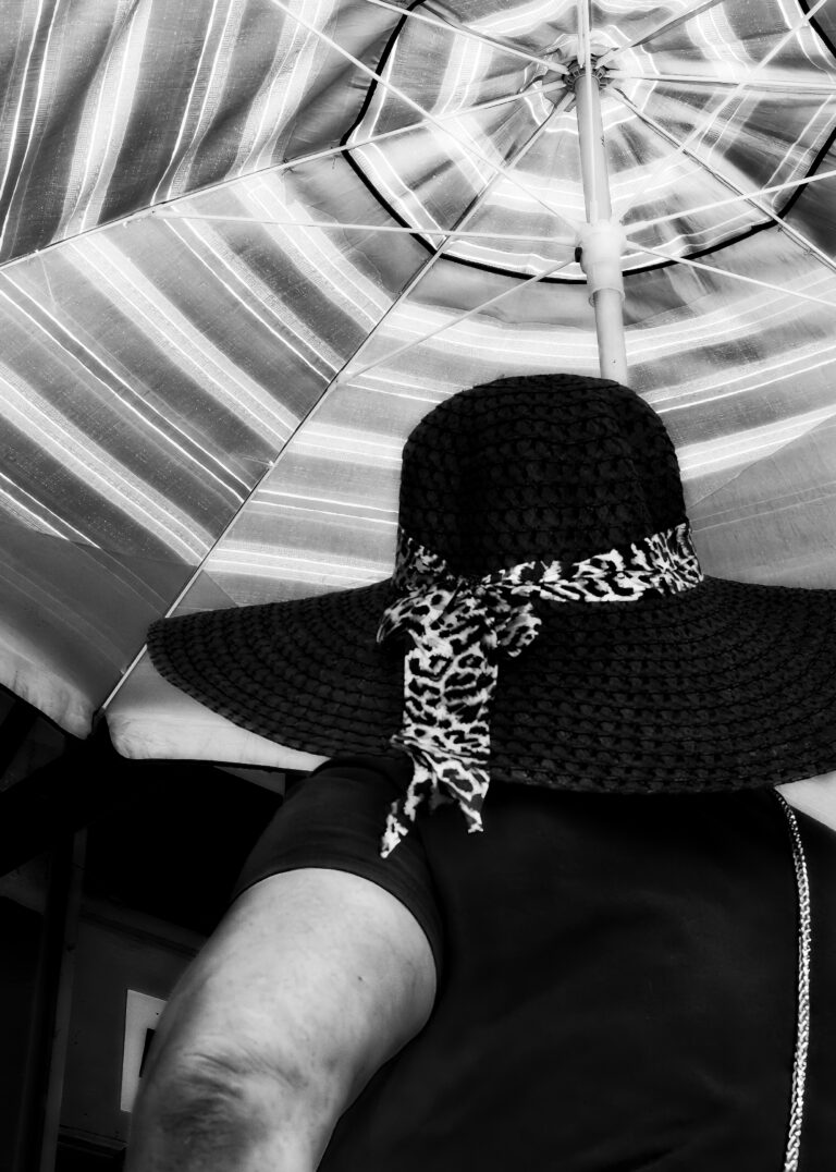 Photo by David Rockwood