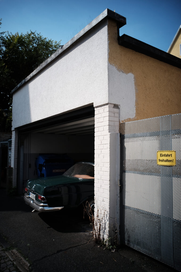 Photo by Jef 📷🍀