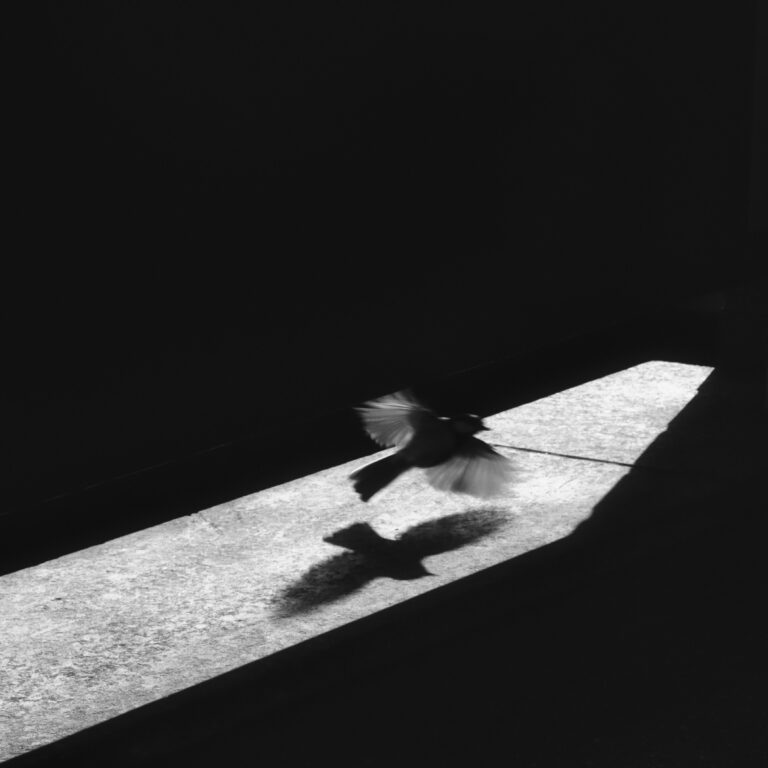 Photo by Christian Iwan