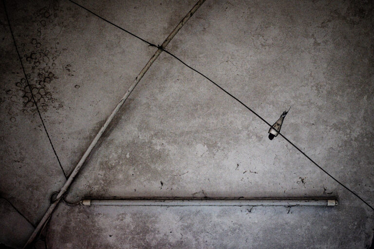 Photo by Alex 艾老师